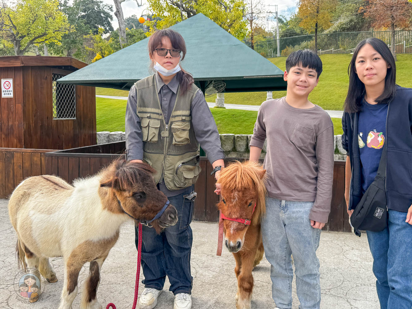 南投｜九九峰動物樂園》2026門票，中部唯一大型動物鳥禽樂園，可愛動物、鸚鵡零距離互動，還有恐龍火車。