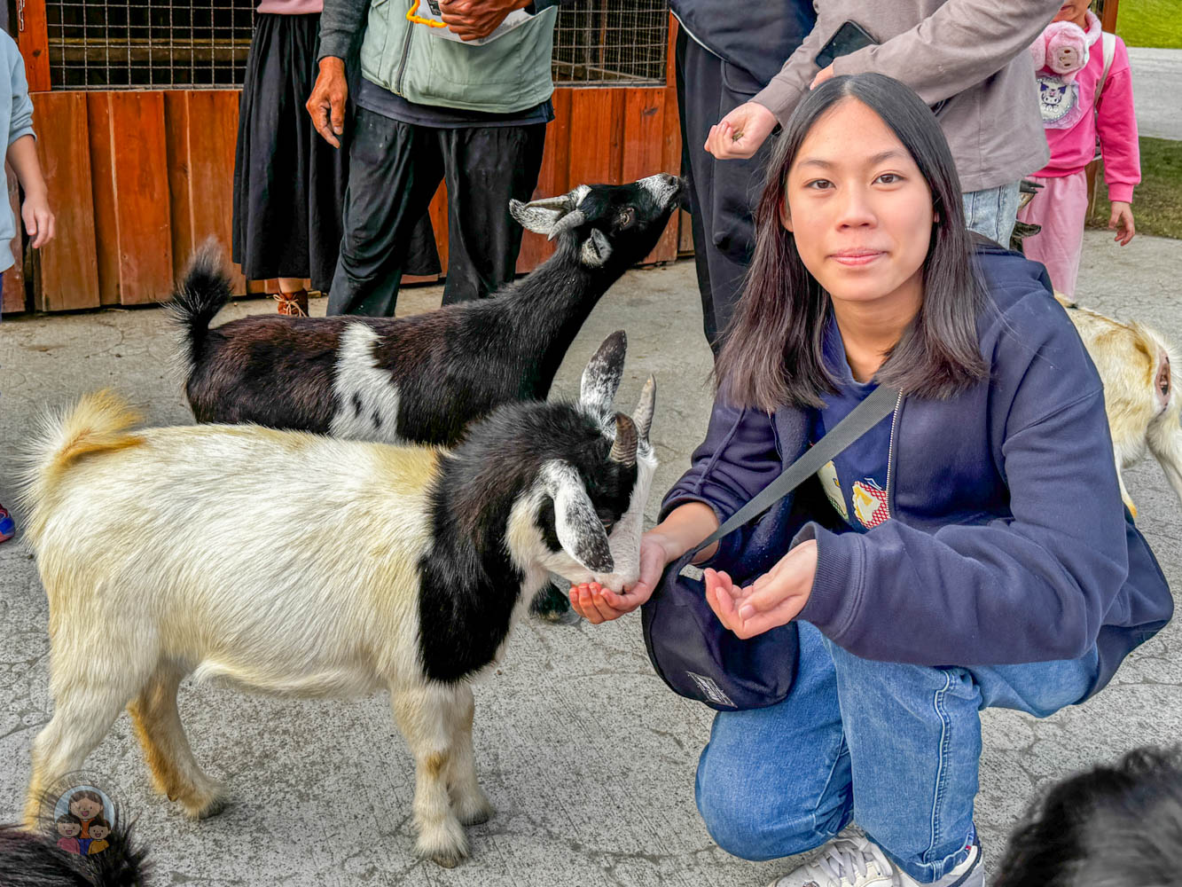 南投｜九九峰動物樂園》2026門票，中部唯一大型動物鳥禽樂園，可愛動物、鸚鵡零距離互動，還有恐龍火車。