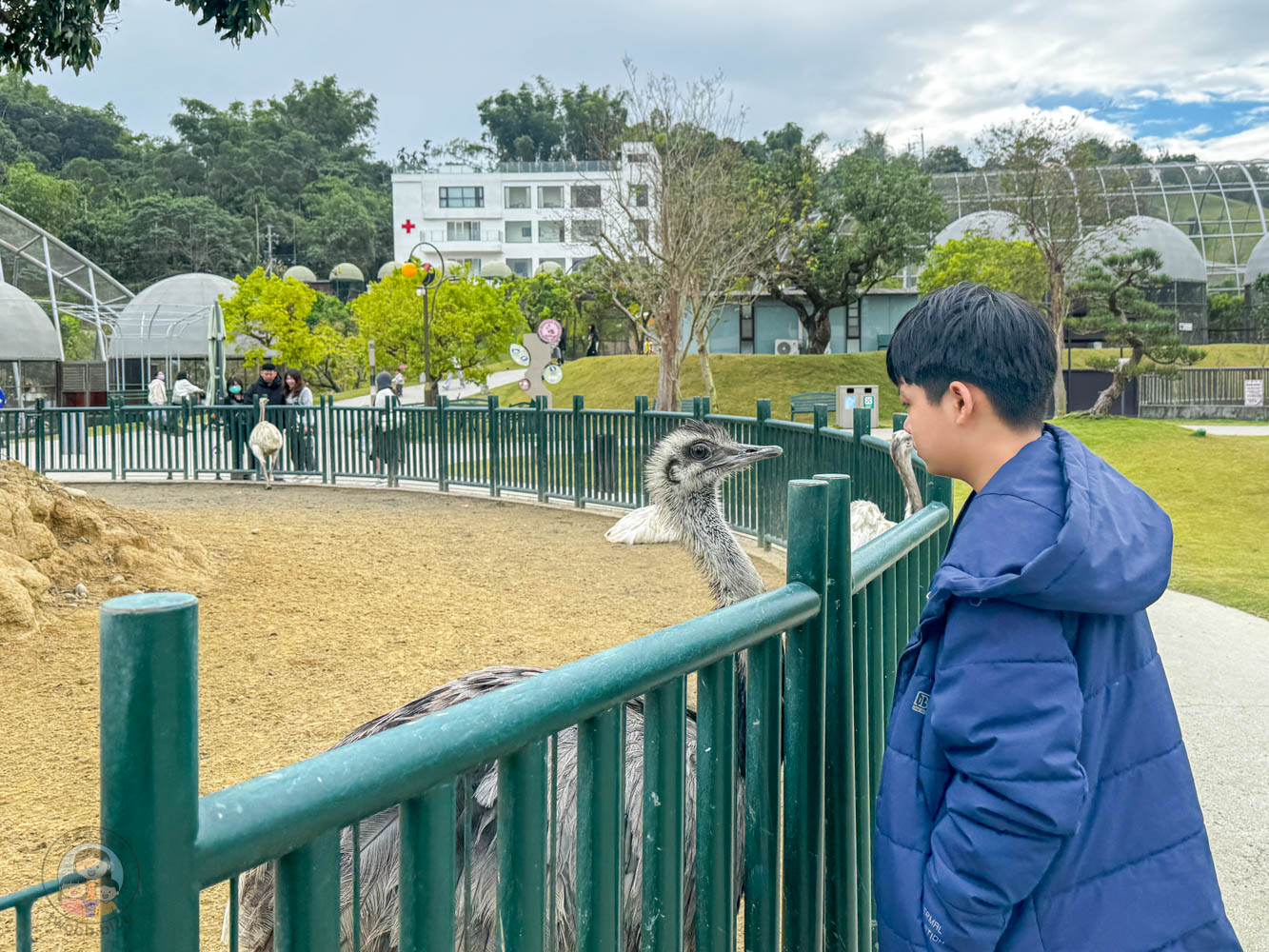 南投｜九九峰動物樂園》2026門票，中部唯一大型動物鳥禽樂園，可愛動物、鸚鵡零距離互動，還有恐龍火車。