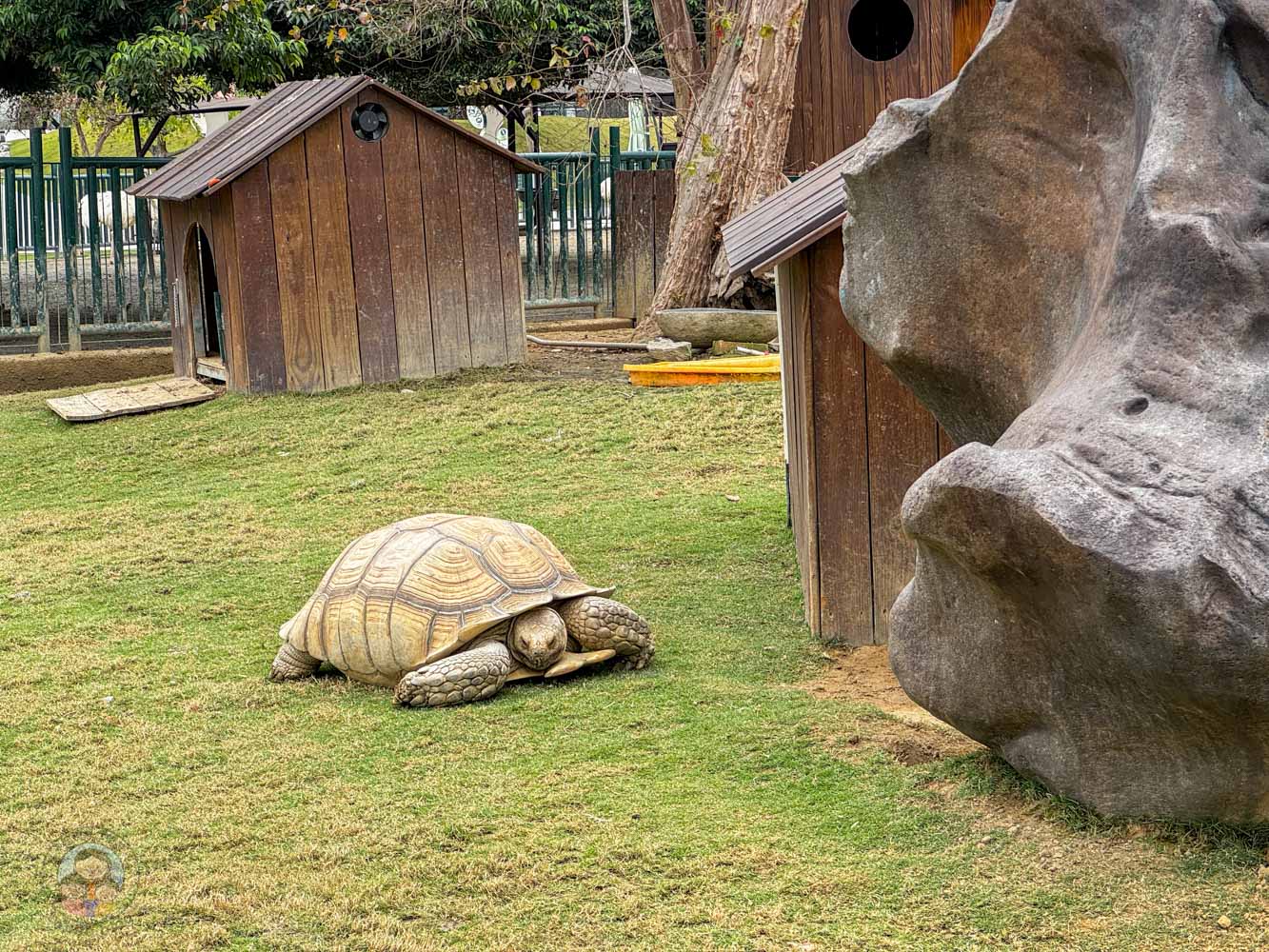 南投｜九九峰動物樂園》2026門票，中部唯一大型動物鳥禽樂園，可愛動物、鸚鵡零距離互動，還有恐龍火車。