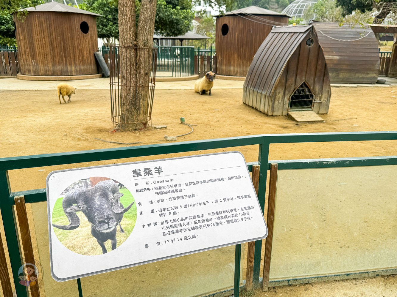 南投｜九九峰動物樂園》2026門票，中部唯一大型動物鳥禽樂園，可愛動物、鸚鵡零距離互動，還有恐龍火車。