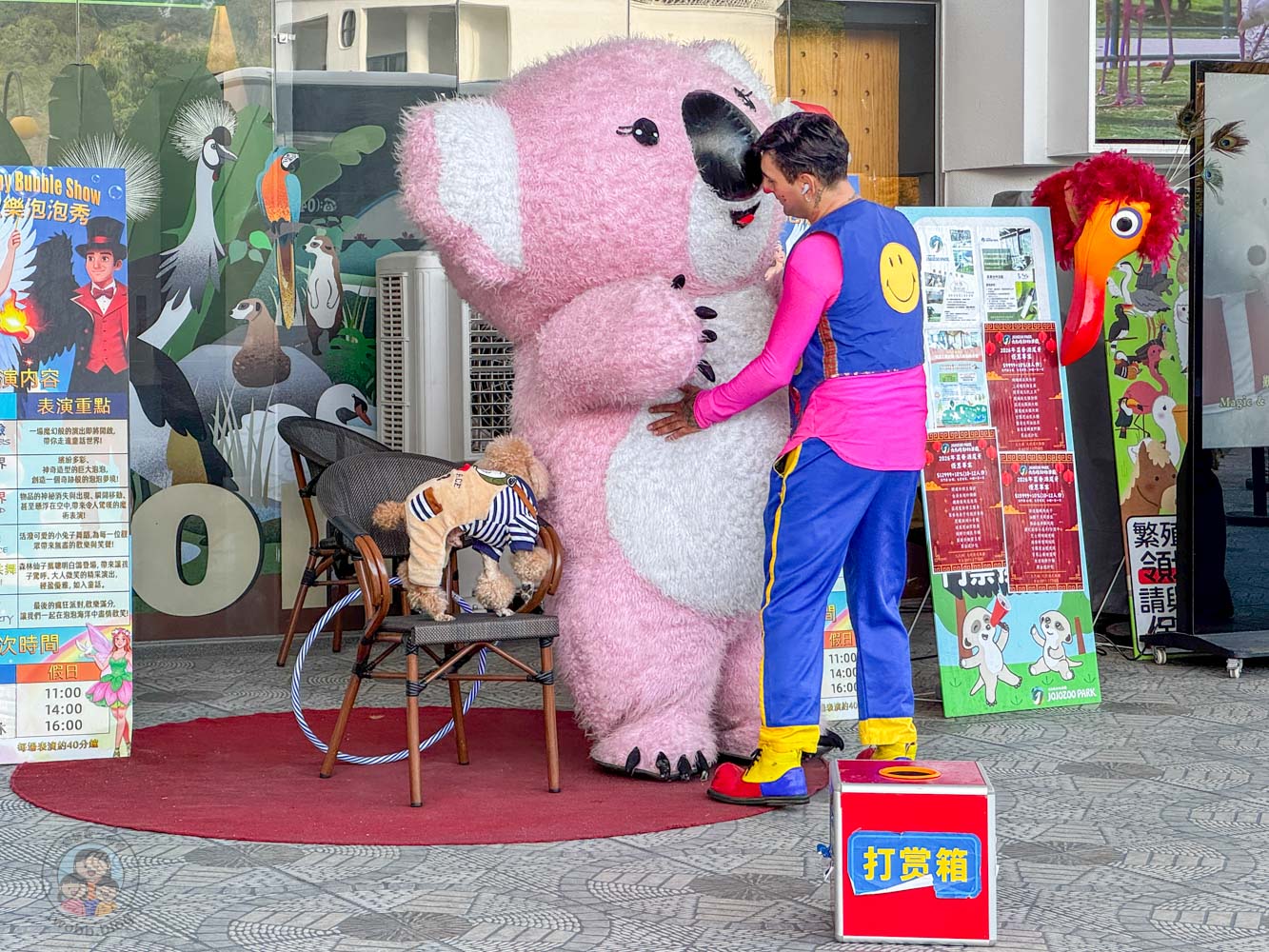 南投｜九九峰動物樂園》2026門票，中部唯一大型動物鳥禽樂園，可愛動物、鸚鵡零距離互動，還有恐龍火車。