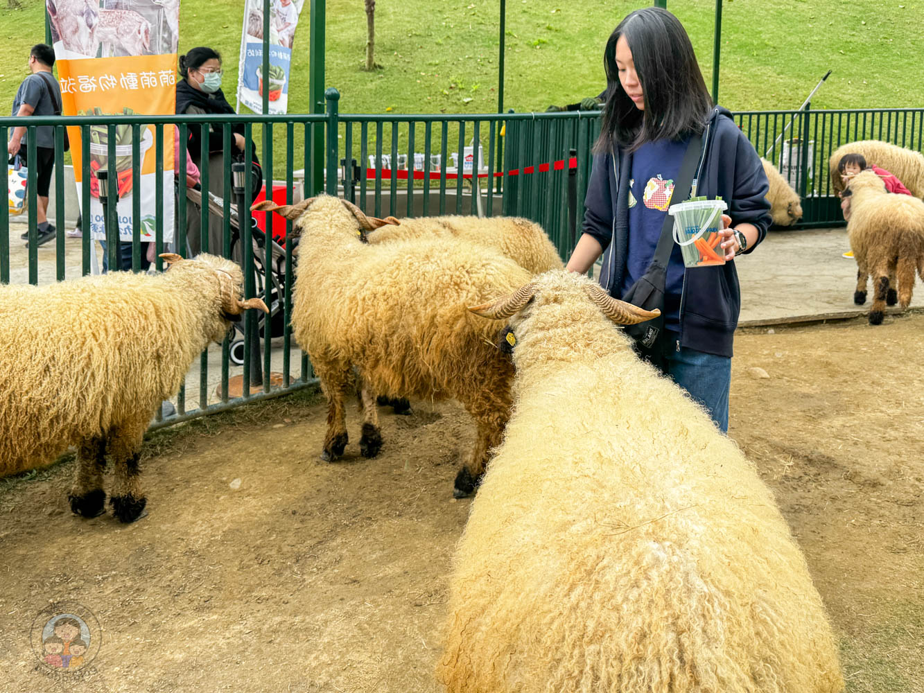 南投｜九九峰動物樂園》2026門票，中部唯一大型動物鳥禽樂園，可愛動物、鸚鵡零距離互動，還有恐龍火車。