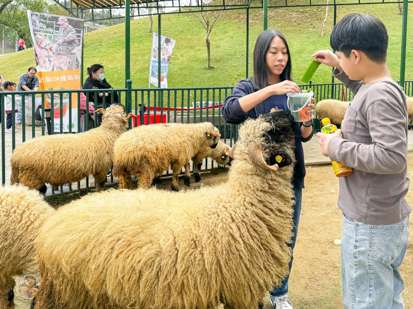 南投｜九九峰動物樂園》2026門票，中部唯一大型動物鳥禽樂園，可愛動物、鸚鵡零距離互動，還有恐龍火車。