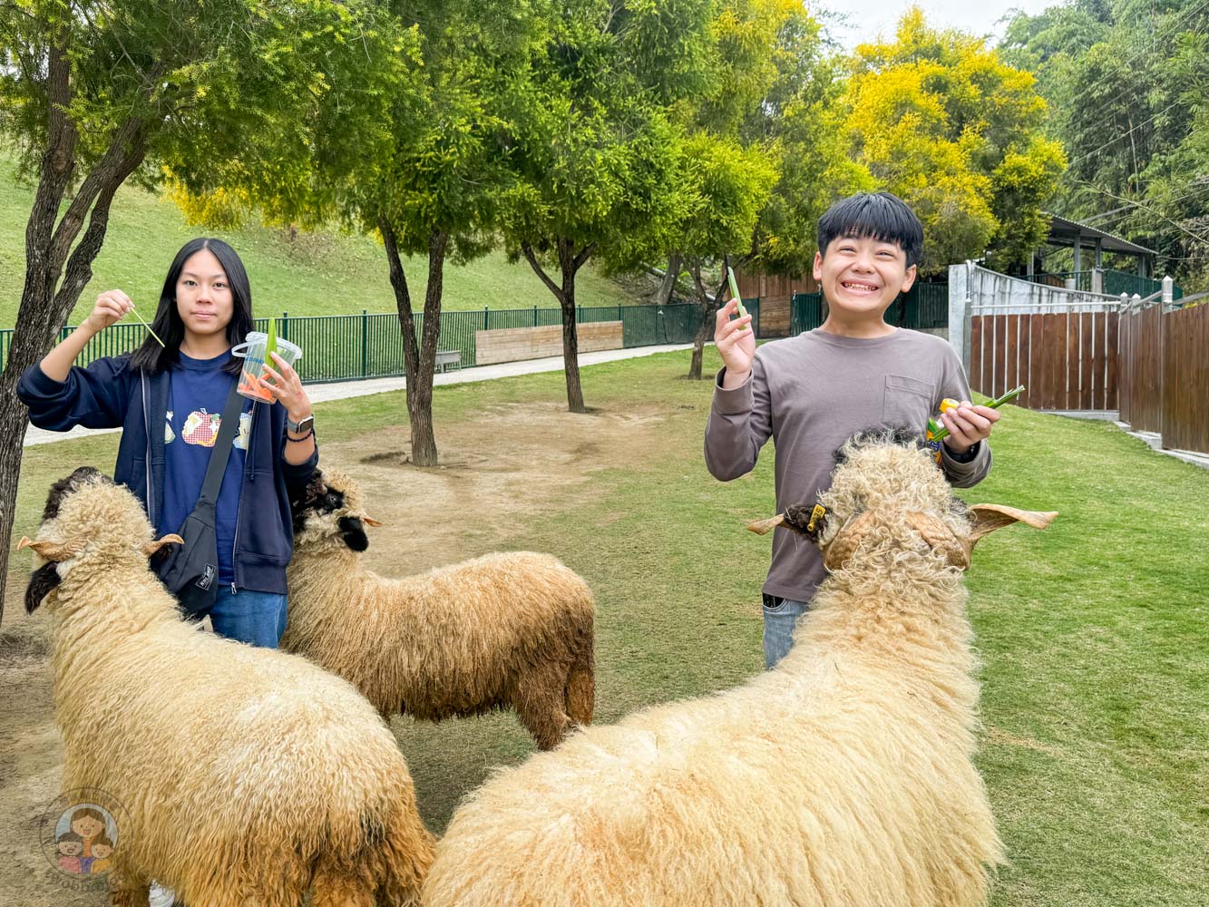 南投｜九九峰動物樂園》2026門票，中部唯一大型動物鳥禽樂園，可愛動物、鸚鵡零距離互動，還有恐龍火車。