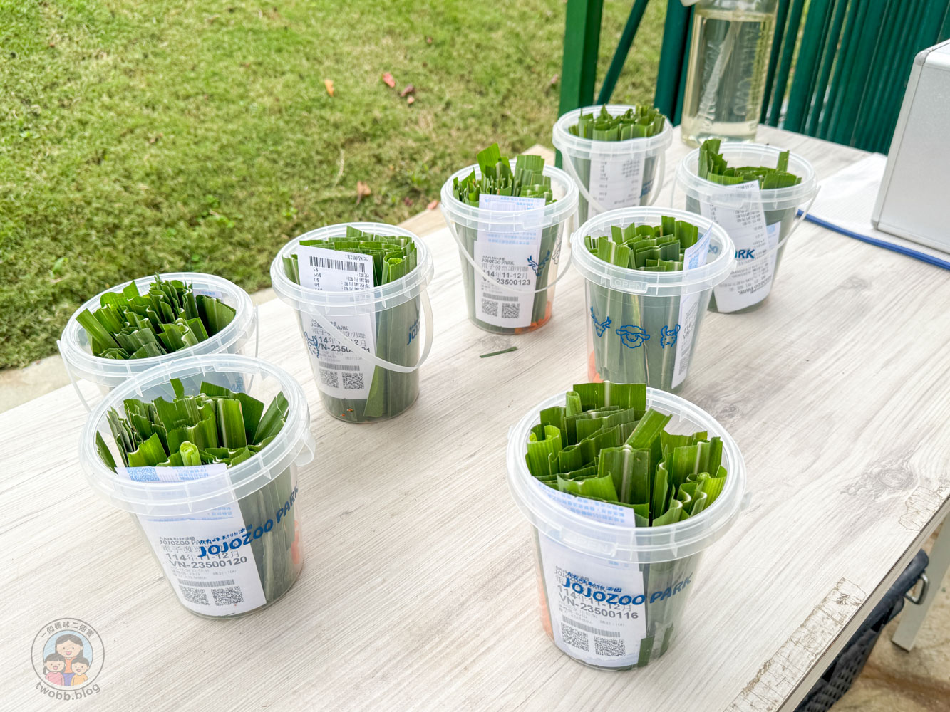 南投｜九九峰動物樂園》2026門票，中部唯一大型動物鳥禽樂園，可愛動物、鸚鵡零距離互動，還有恐龍火車。