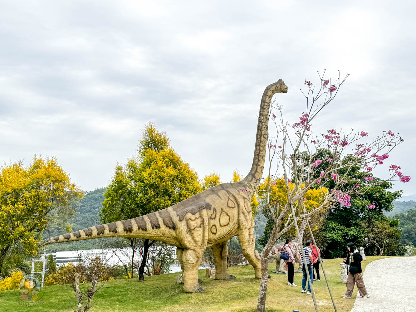南投｜九九峰動物樂園》2026門票，中部唯一大型動物鳥禽樂園，可愛動物、鸚鵡零距離互動，還有恐龍火車。