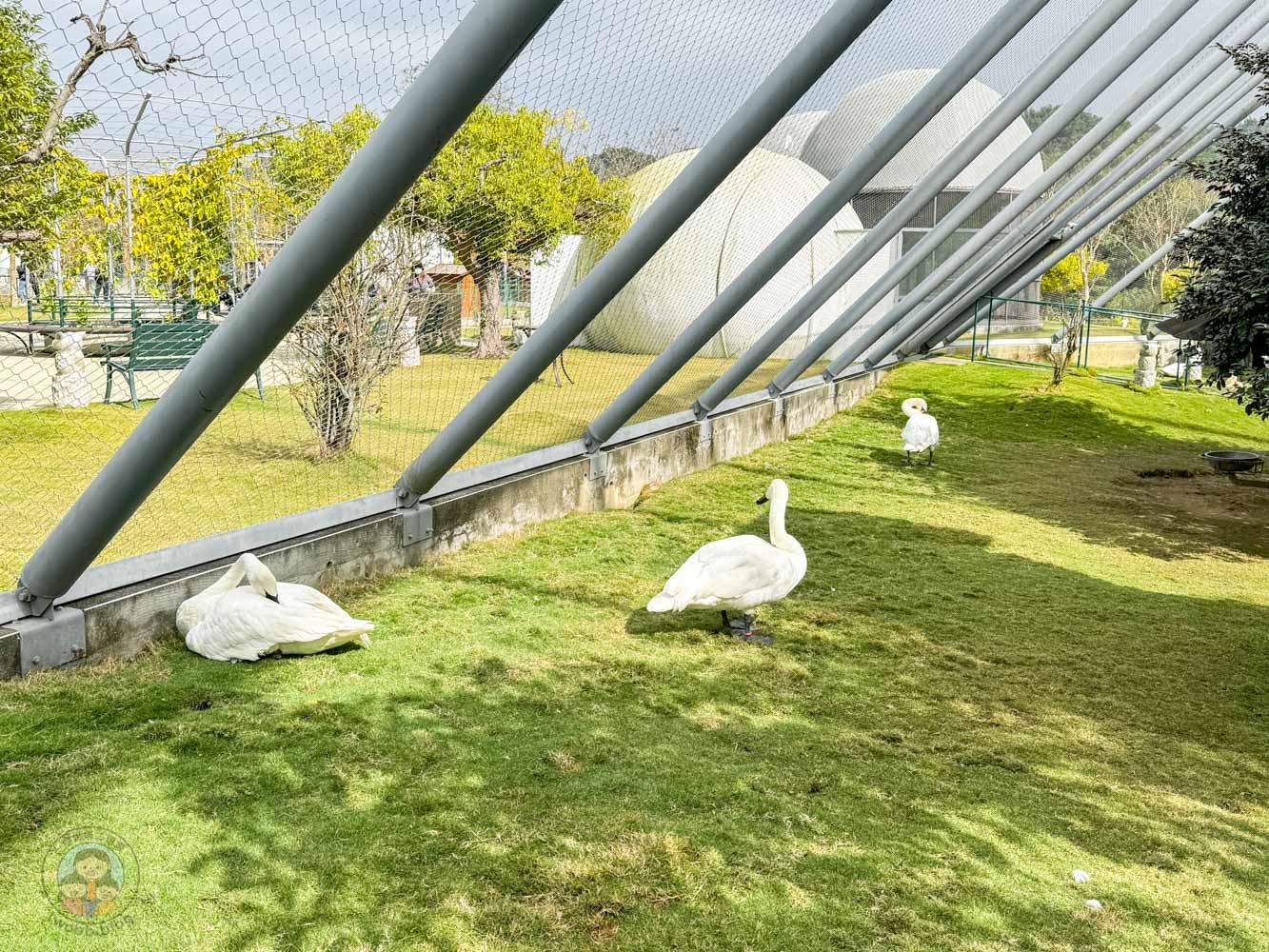 南投｜九九峰動物樂園》2026門票，中部唯一大型動物鳥禽樂園，可愛動物、鸚鵡零距離互動，還有恐龍火車。