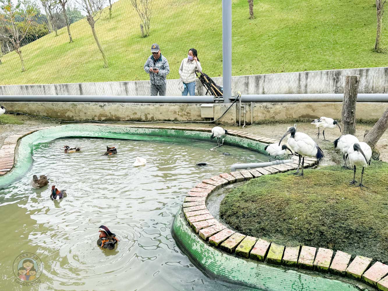 南投｜九九峰動物樂園》2026門票，中部唯一大型動物鳥禽樂園，可愛動物、鸚鵡零距離互動，還有恐龍火車。