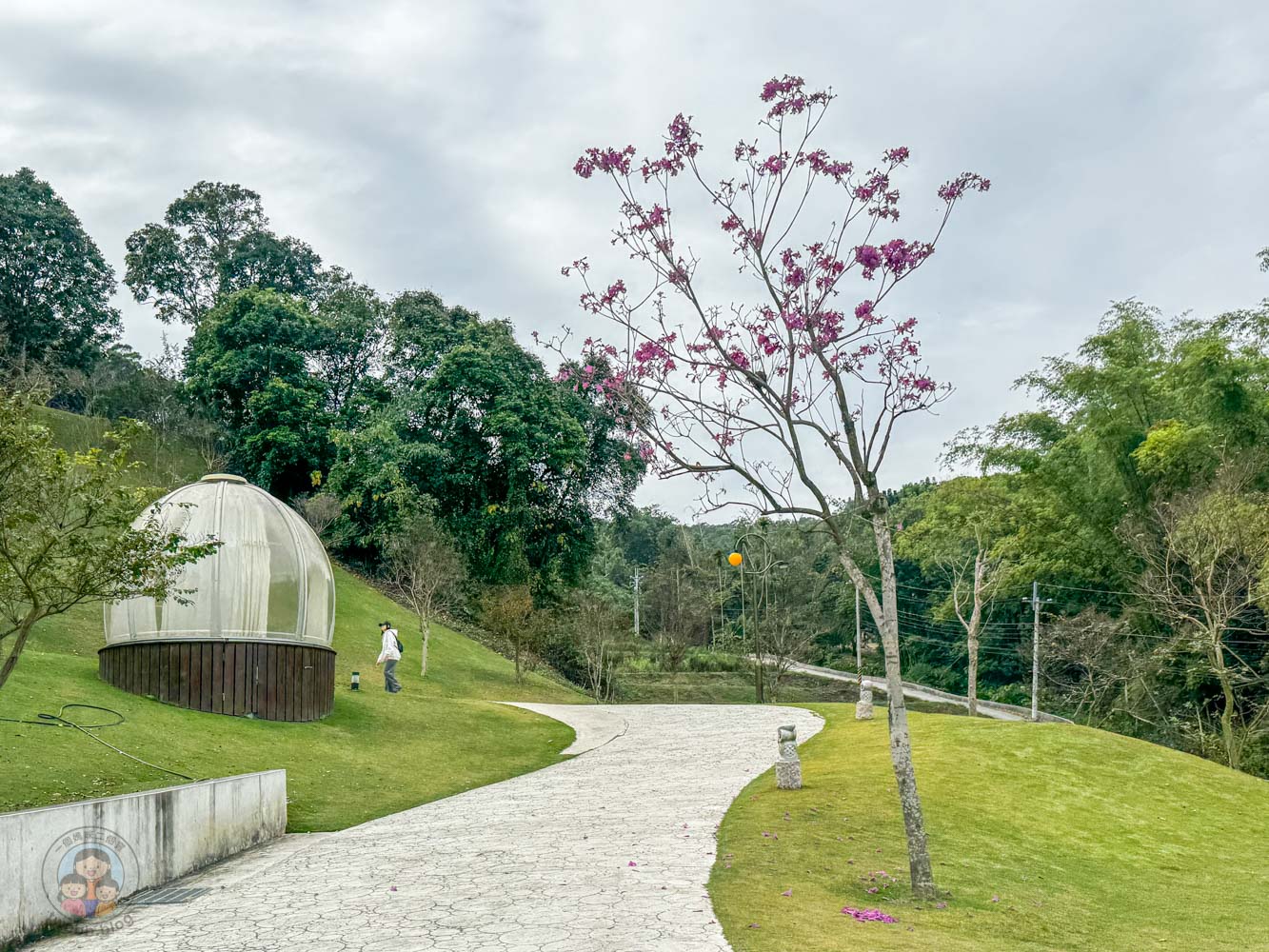 南投｜九九峰動物樂園》2026門票，中部唯一大型動物鳥禽樂園，可愛動物、鸚鵡零距離互動，還有恐龍火車。