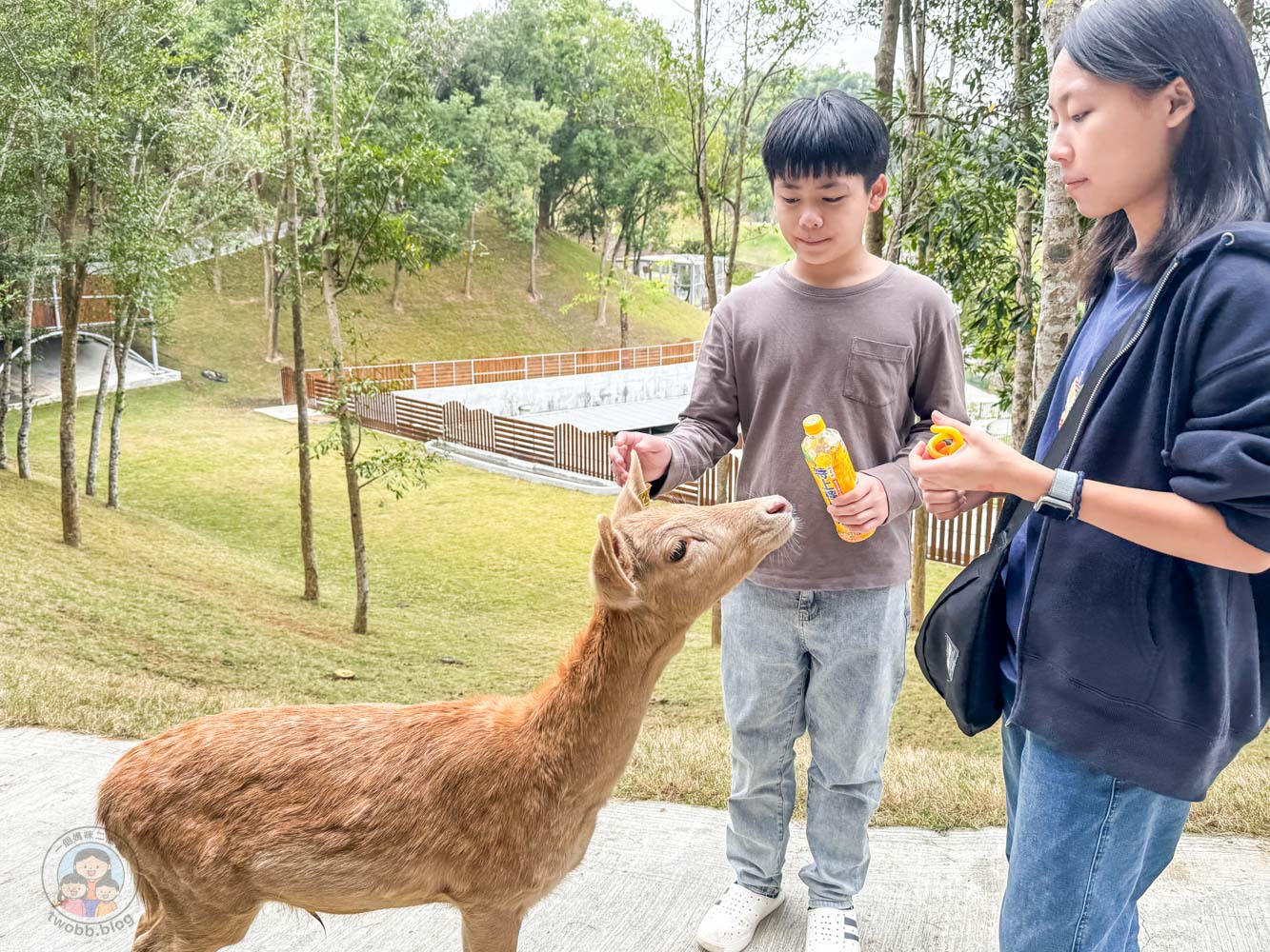 南投｜九九峰動物樂園》2026門票，中部唯一大型動物鳥禽樂園，可愛動物、鸚鵡零距離互動，還有恐龍火車。