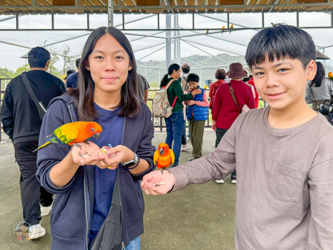 南投｜九九峰動物樂園》2026門票，中部唯一大型動物鳥禽樂園，可愛動物、鸚鵡零距離互動，還有恐龍火車。