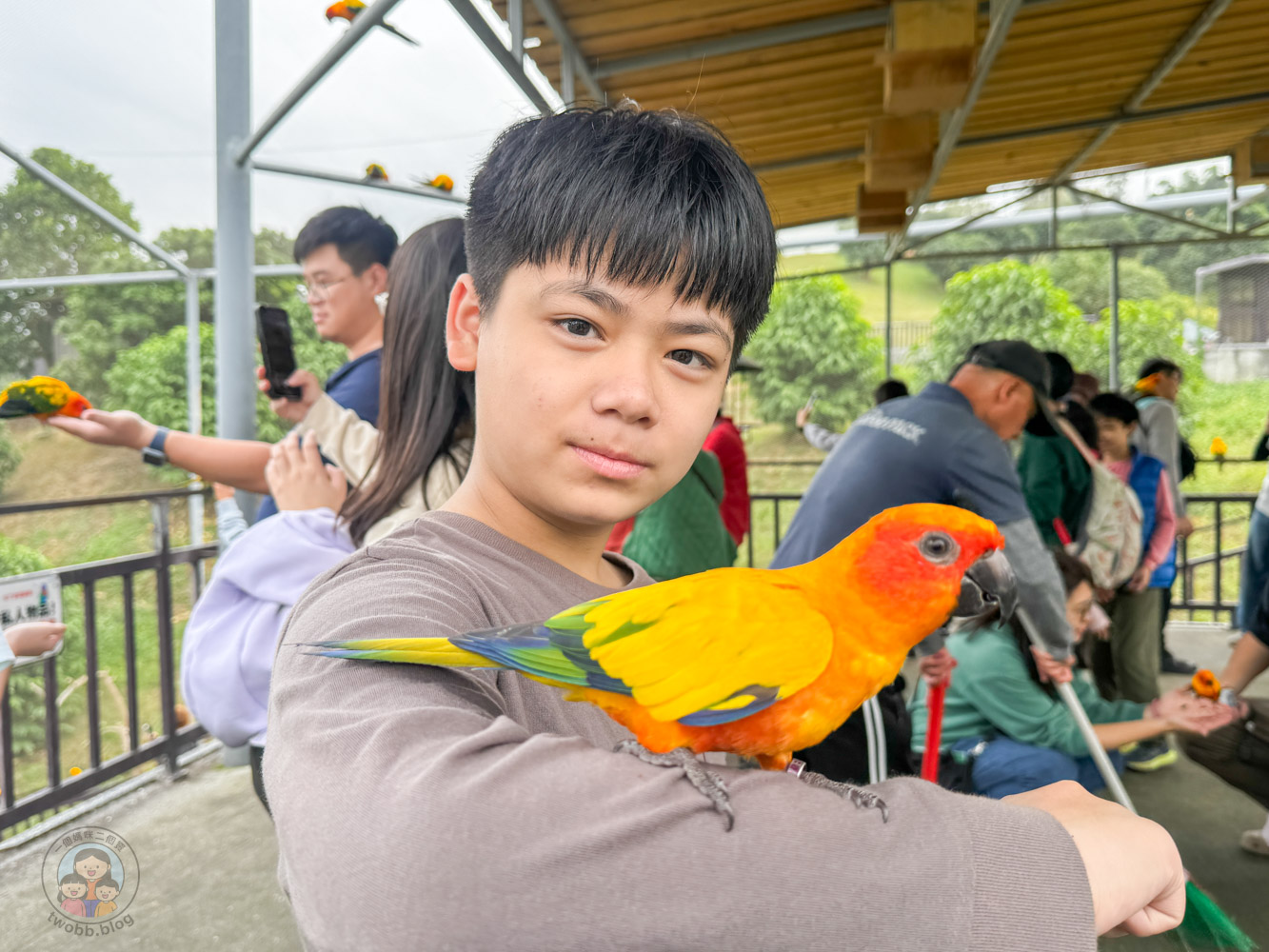 南投｜九九峰動物樂園》2026門票，中部唯一大型動物鳥禽樂園，可愛動物、鸚鵡零距離互動，還有恐龍火車。