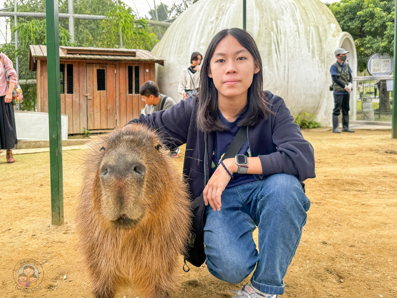 南投｜九九峰動物樂園》2026門票，中部唯一大型動物鳥禽樂園，可愛動物、鸚鵡零距離互動，還有恐龍火車。