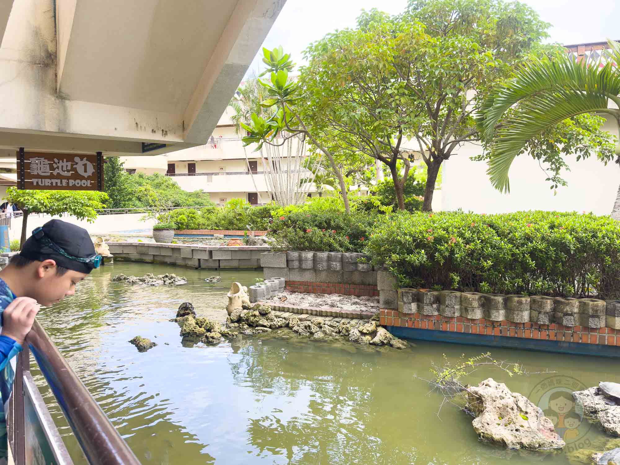 屏東｜墾丁福華渡假飯店》墾丁泳池飯店，直通小灣沙灘，梅花鹿親密互動。