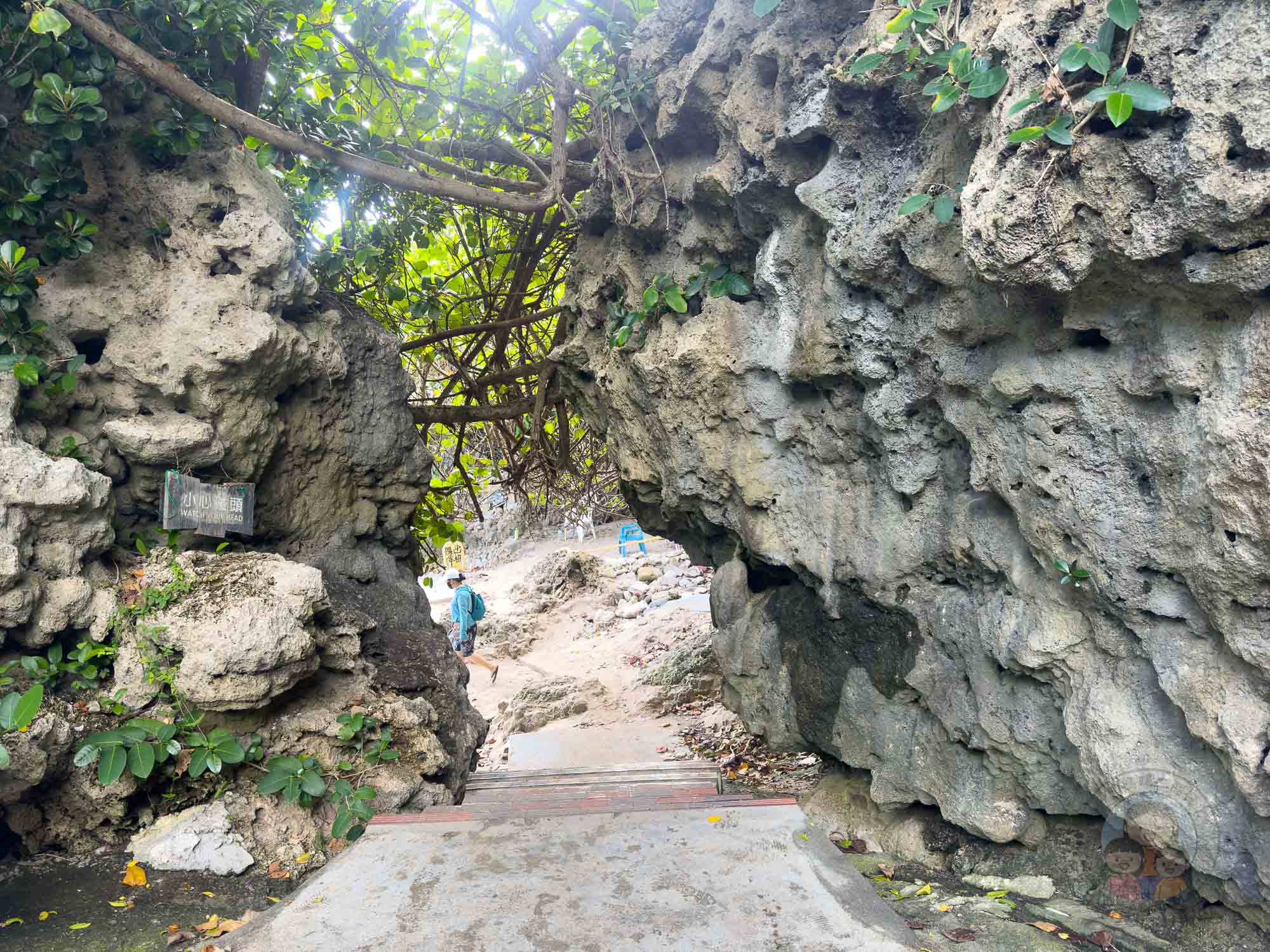 屏東｜墾丁福華渡假飯店》墾丁泳池飯店，直通小灣沙灘，梅花鹿親密互動。