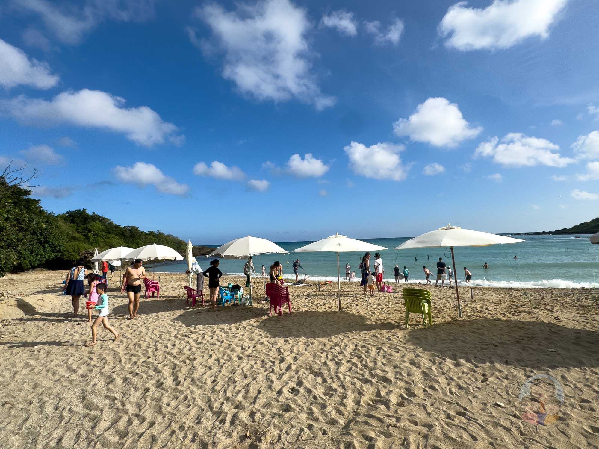 屏東｜墾丁福華渡假飯店》墾丁泳池飯店，直通小灣沙灘，梅花鹿親密互動。