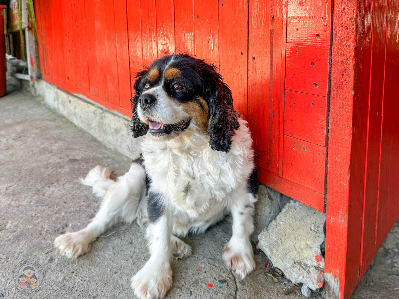 桃園｜花鹿秘境》桃園大溪農場，近距離水豚互動，體驗釣蝦釣魚，還有摸蜆活動。