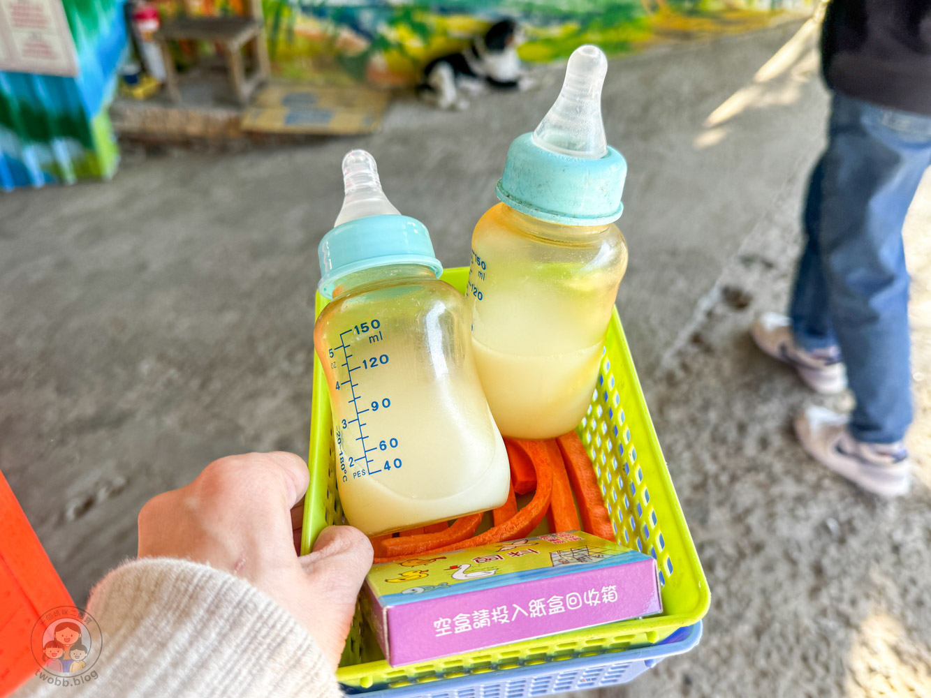 桃園｜花鹿秘境》桃園大溪農場，近距離水豚互動，體驗釣蝦釣魚，還有摸蜆活動。