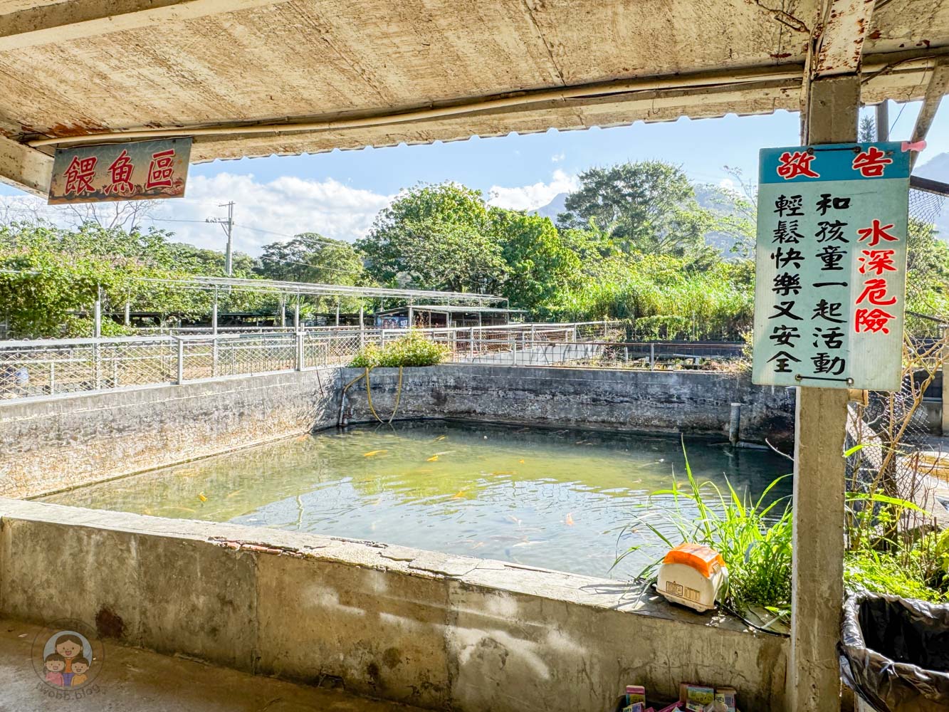 桃園｜花鹿秘境》桃園大溪農場，近距離水豚互動，體驗釣蝦釣魚，還有摸蜆活動。