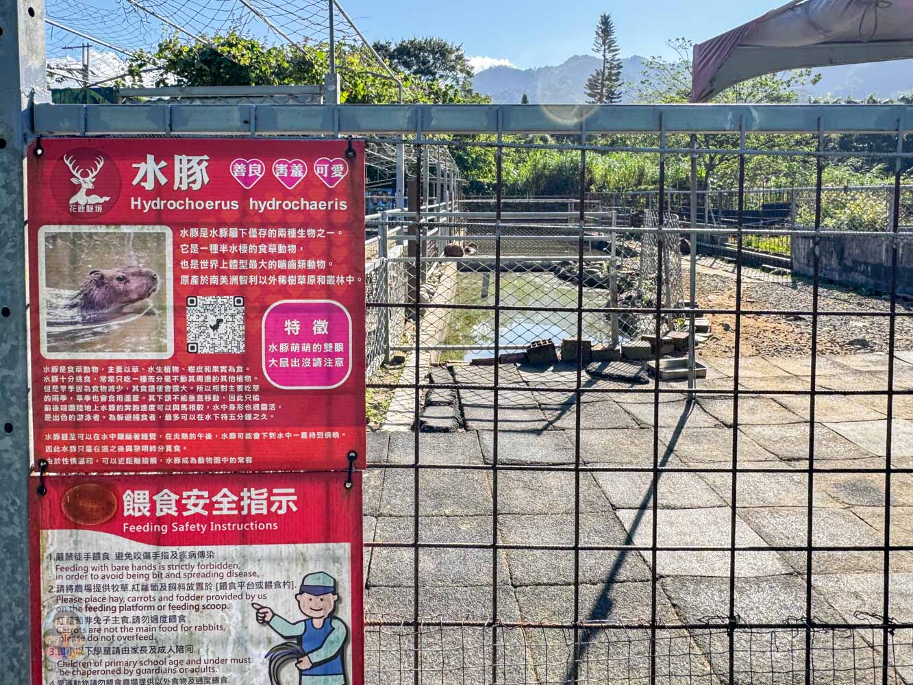 桃園｜花鹿秘境》桃園大溪農場，近距離水豚互動，體驗釣蝦釣魚，還有摸蜆活動。