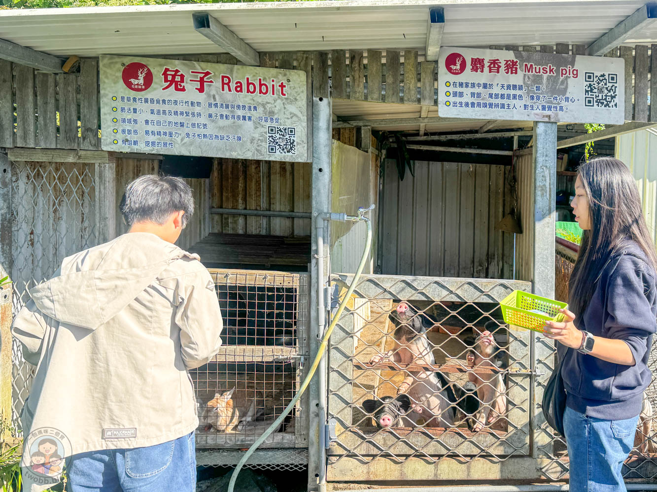 桃園｜花鹿秘境》桃園大溪農場，近距離水豚互動，體驗釣蝦釣魚，還有摸蜆活動。