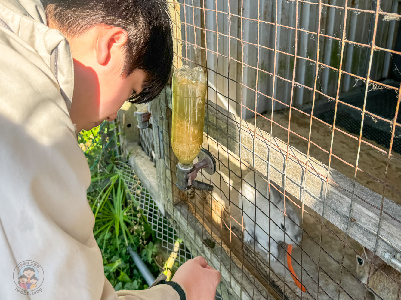 桃園｜花鹿秘境》桃園大溪農場，近距離水豚互動，體驗釣蝦釣魚，還有摸蜆活動。