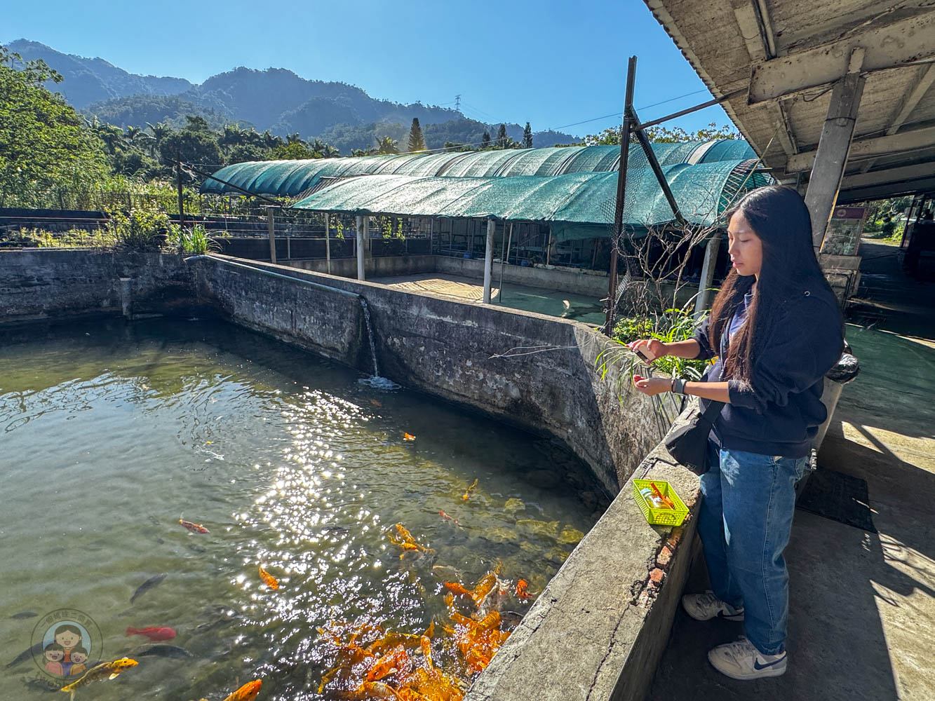 桃園｜花鹿秘境》桃園大溪農場，近距離水豚互動，體驗釣蝦釣魚，還有摸蜆活動。