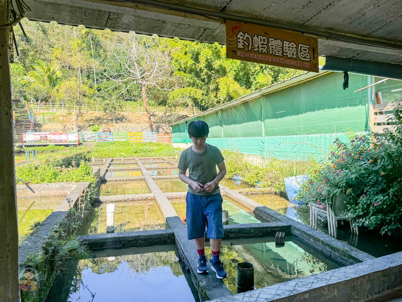 桃園｜花鹿秘境》桃園大溪農場，近距離水豚互動，體驗釣蝦釣魚，還有摸蜆活動。