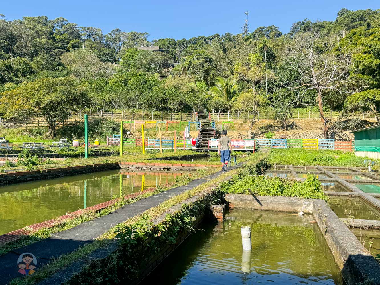 桃園｜花鹿秘境》桃園大溪農場，近距離水豚互動，體驗釣蝦釣魚，還有摸蜆活動。