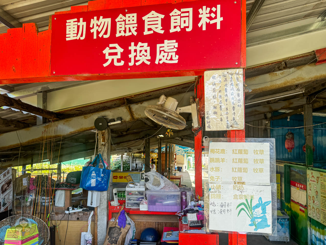 桃園｜花鹿秘境》桃園大溪農場，近距離水豚互動，體驗釣蝦釣魚，還有摸蜆活動。