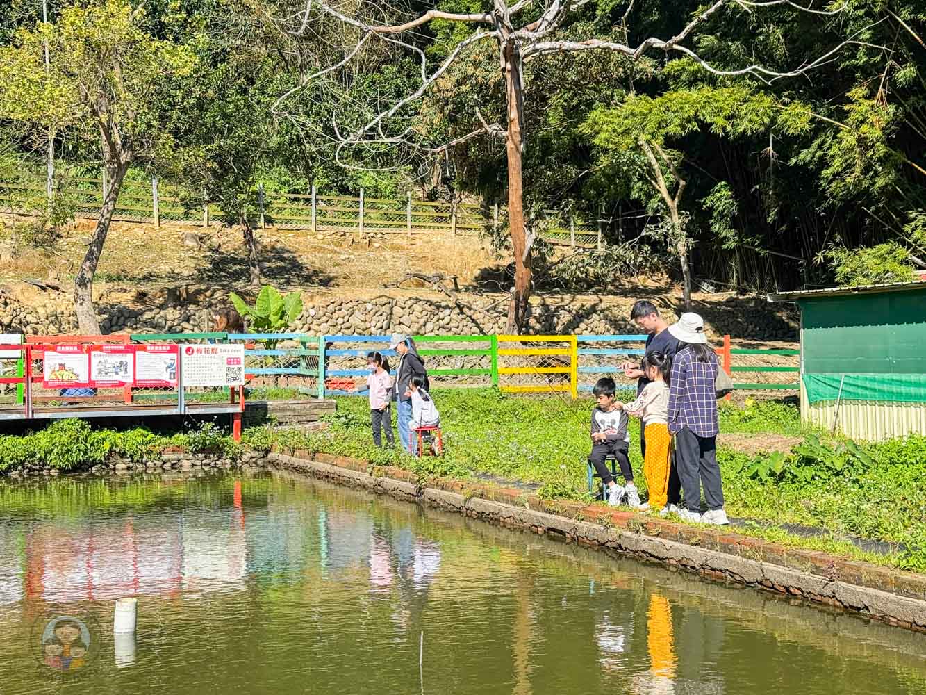 桃園｜花鹿秘境》桃園大溪農場，近距離水豚互動，體驗釣蝦釣魚，還有摸蜆活動。