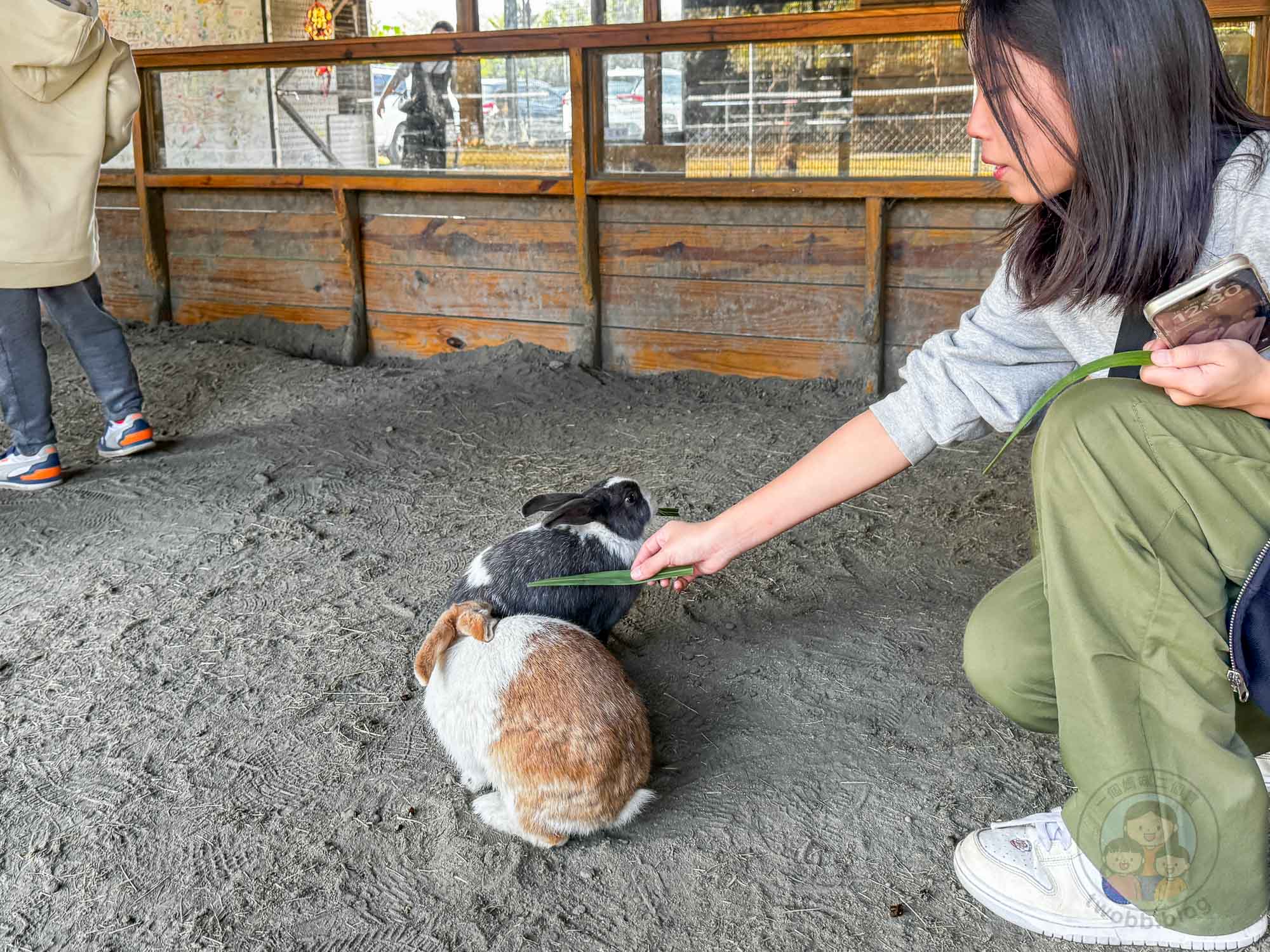彰化|正實親子農場》2026門票資訊,彰化親子農場、可愛動物、撿雞蛋、戲水池溜滑梯、還有小火車。 - 第31張圖 彰化|正實親子農場》2026門票資訊,彰化親子農場、可愛動物、撿雞蛋、戲水池溜滑梯、還有小火車。