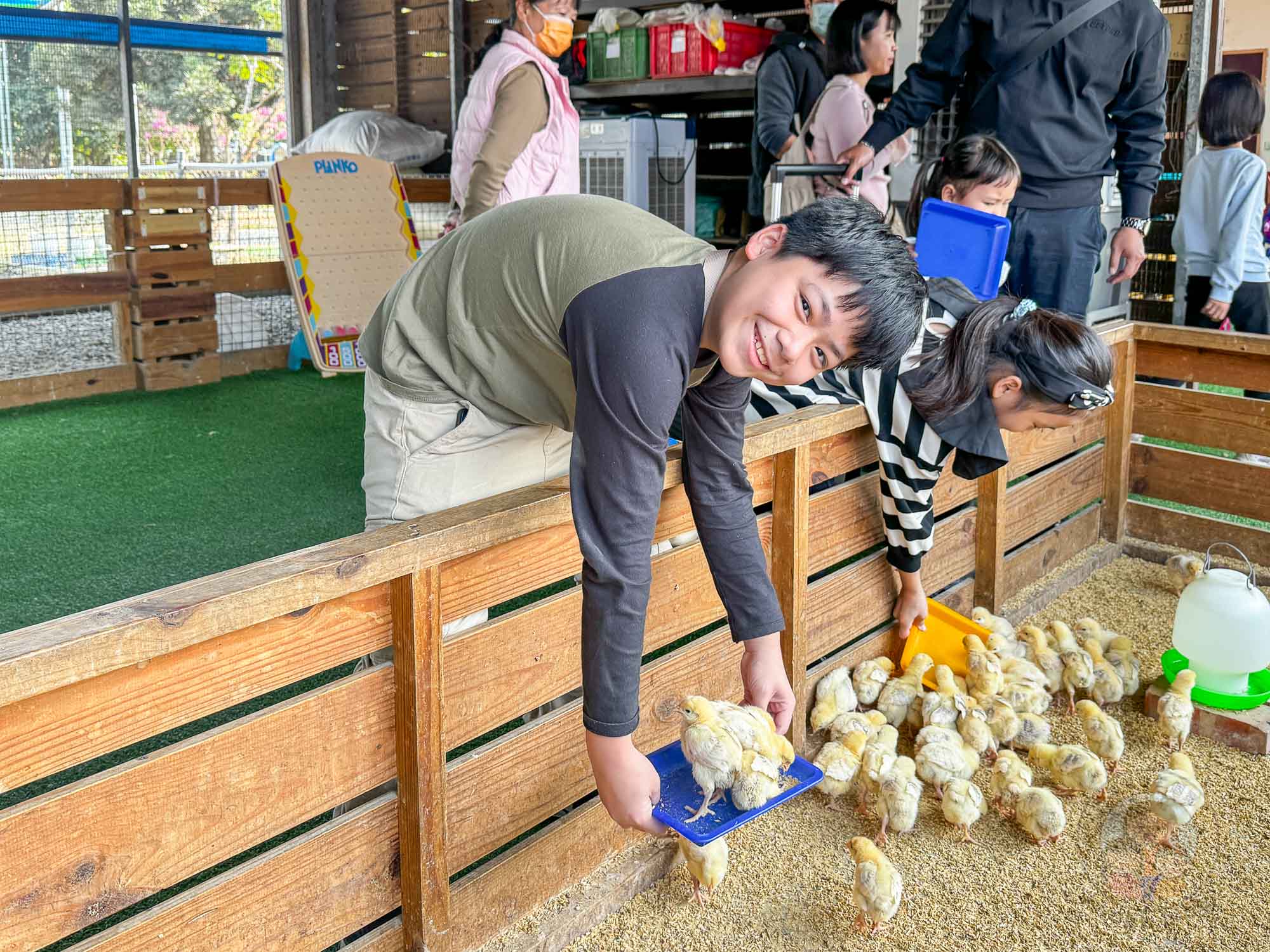 彰化|正實親子農場》2026門票資訊,彰化親子農場、可愛動物、撿雞蛋、戲水池溜滑梯、還有小火車。 - 第35張圖 彰化|正實親子農場》2026門票資訊,彰化親子農場、可愛動物、撿雞蛋、戲水池溜滑梯、還有小火車。
