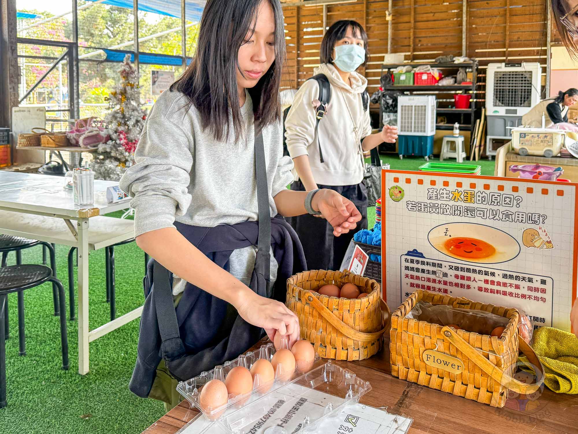 彰化|正實親子農場》2026門票資訊,彰化親子農場、可愛動物、撿雞蛋、戲水池溜滑梯、還有小火車。 - 第40張圖 彰化|正實親子農場》2026門票資訊,彰化親子農場、可愛動物、撿雞蛋、戲水池溜滑梯、還有小火車。
