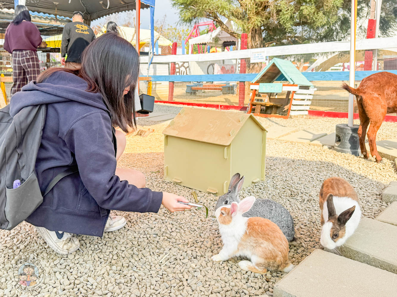 嘉義|萌寵村親子樂園》超療癒親子景點推薦!近距離餵食小動物、室內外遊具空間 親子一日遊 嘉義中埔景點。 - 第12張圖 嘉義|萌寵村親子樂園》超療癒親子景點推薦!近距離餵食小動物、室內外遊具空間 親子一日遊 嘉義中埔景點。