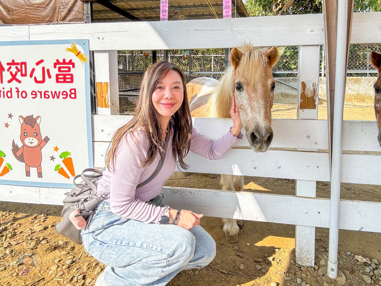 嘉義|萌寵村親子樂園》超療癒親子景點推薦!近距離餵食小動物、室內外遊具空間 親子一日遊 嘉義中埔景點。 - 第13張圖 嘉義|萌寵村親子樂園》超療癒親子景點推薦!近距離餵食小動物、室內外遊具空間 親子一日遊 嘉義中埔景點。