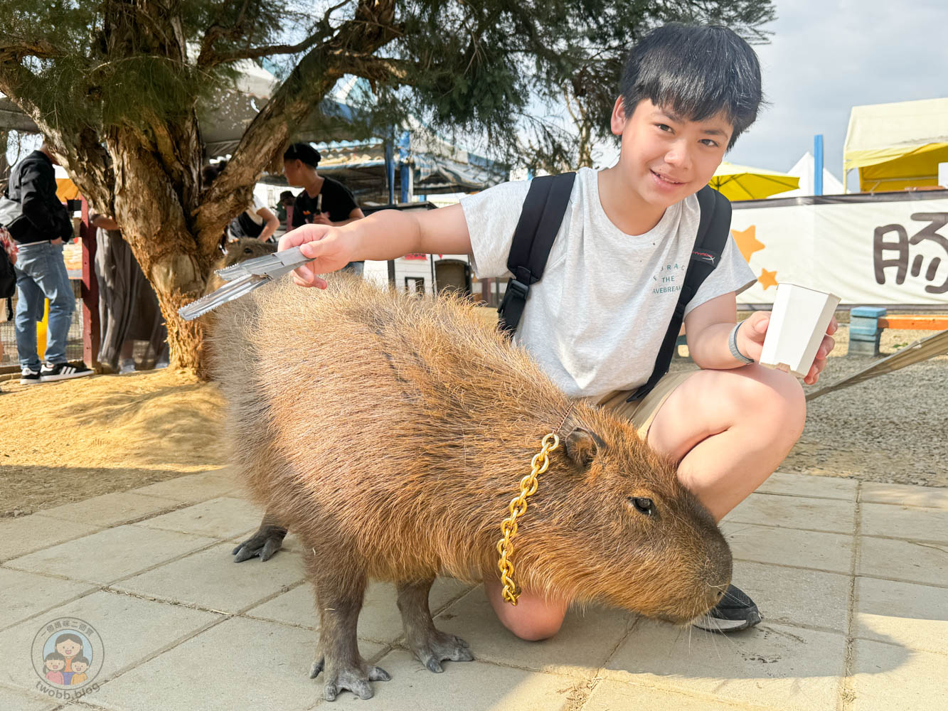 嘉義|萌寵村親子樂園》超療癒親子景點推薦!近距離餵食小動物、室內外遊具空間 親子一日遊 嘉義中埔景點。 - 第10張圖 嘉義|萌寵村親子樂園》超療癒親子景點推薦!近距離餵食小動物、室內外遊具空間 親子一日遊 嘉義中埔景點。