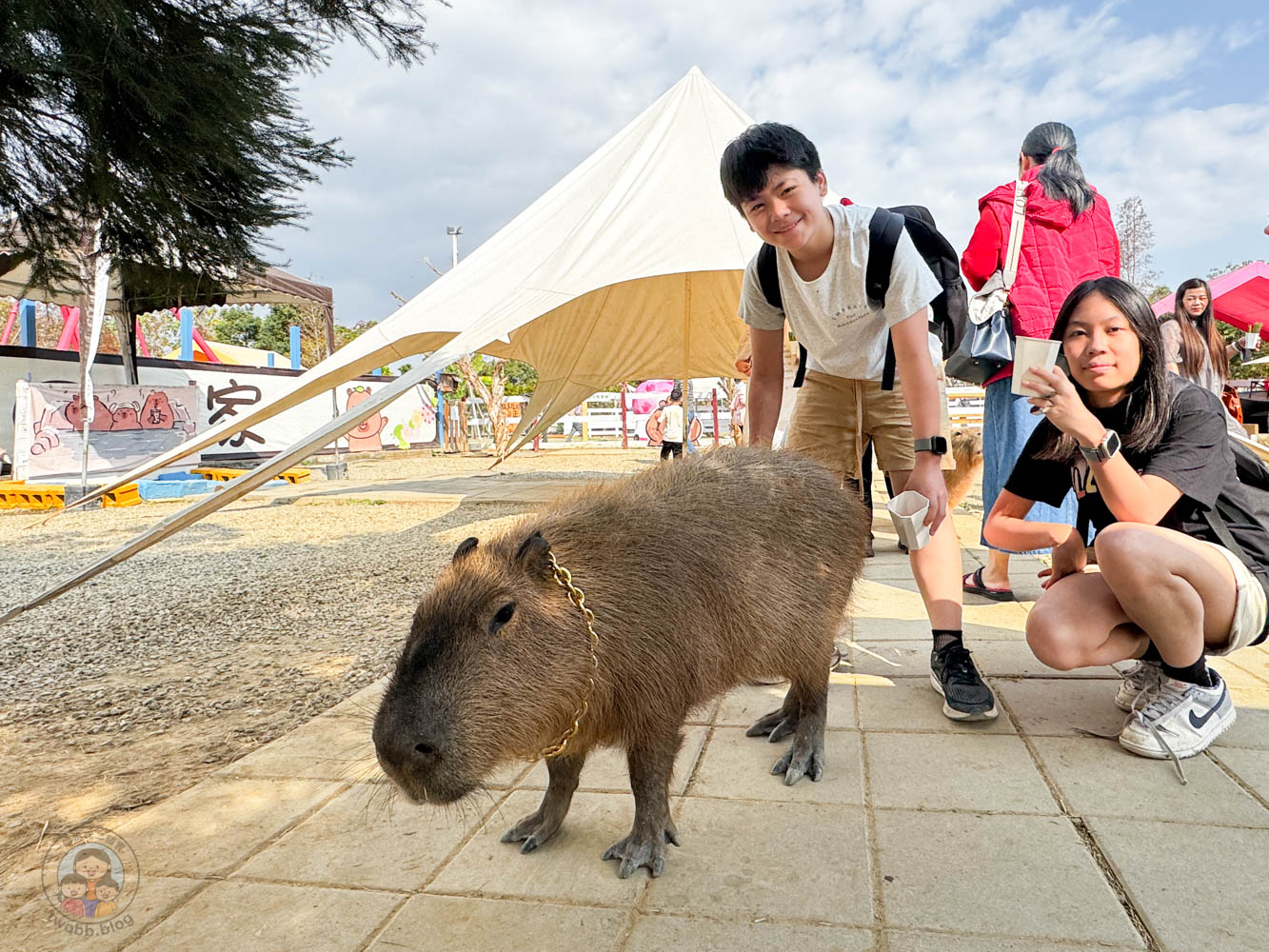 嘉義|萌寵村親子樂園》超療癒親子景點推薦!近距離餵食小動物、室內外遊具空間 親子一日遊 嘉義中埔景點。 - 第14張圖 嘉義|萌寵村親子樂園》超療癒親子景點推薦!近距離餵食小動物、室內外遊具空間 親子一日遊 嘉義中埔景點。