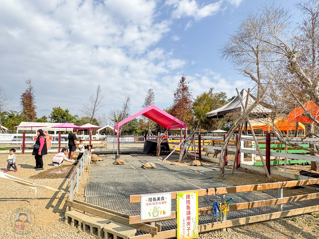 嘉義|萌寵村親子樂園》超療癒親子景點推薦!近距離餵食小動物、室內外遊具空間 親子一日遊 嘉義中埔景點。 - 第9張圖 嘉義|萌寵村親子樂園》超療癒親子景點推薦!近距離餵食小動物、室內外遊具空間 親子一日遊 嘉義中埔景點。