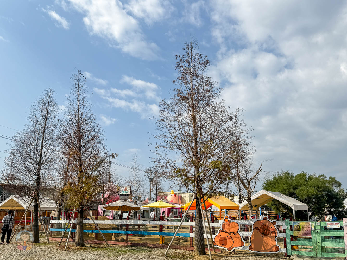 嘉義|萌寵村親子樂園》超療癒親子景點推薦!近距離餵食小動物、室內外遊具空間 親子一日遊 嘉義中埔景點。 - 第7張圖 嘉義|萌寵村親子樂園》超療癒親子景點推薦!近距離餵食小動物、室內外遊具空間 親子一日遊 嘉義中埔景點。