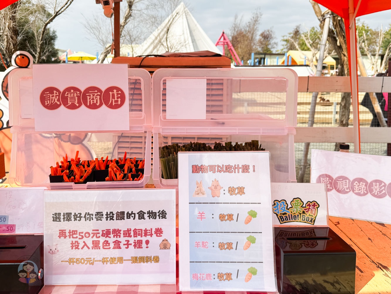 嘉義|萌寵村親子樂園》超療癒親子景點推薦!近距離餵食小動物、室內外遊具空間 親子一日遊 嘉義中埔景點。 - 第21張圖 嘉義|萌寵村親子樂園》超療癒親子景點推薦!近距離餵食小動物、室內外遊具空間 親子一日遊 嘉義中埔景點。