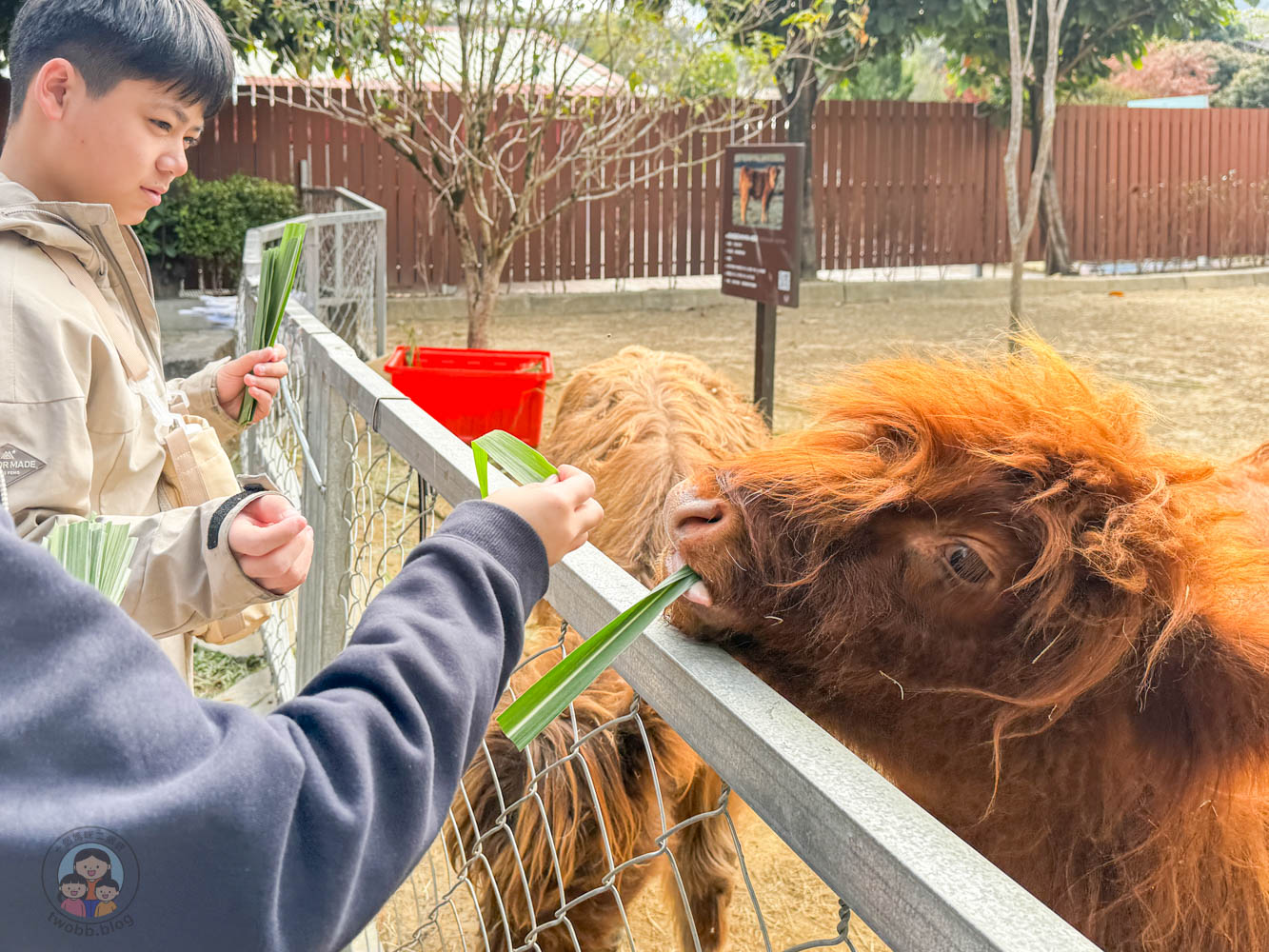 南投|水与松萌萌園》2026門票 與水豚君 笑笑羊近距離互動!埔里秘境落羽松步道 - 第20張圖 南投|水与松萌萌園》2026門票 與水豚君 笑笑羊近距離互動!埔里秘境落羽松步道