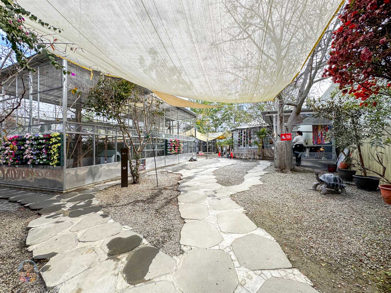 南投|水与松萌萌園》2026門票 與水豚君 笑笑羊近距離互動!埔里秘境落羽松步道 - 第30張圖 南投|水与松萌萌園》2026門票 與水豚君 笑笑羊近距離互動!埔里秘境落羽松步道