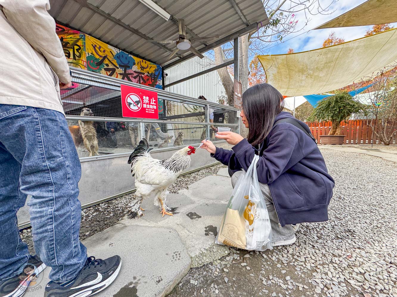 南投|水与松萌萌園》2026門票 與水豚君 笑笑羊近距離互動!埔里秘境落羽松步道 - 第33張圖 南投|水与松萌萌園》2026門票 與水豚君 笑笑羊近距離互動!埔里秘境落羽松步道