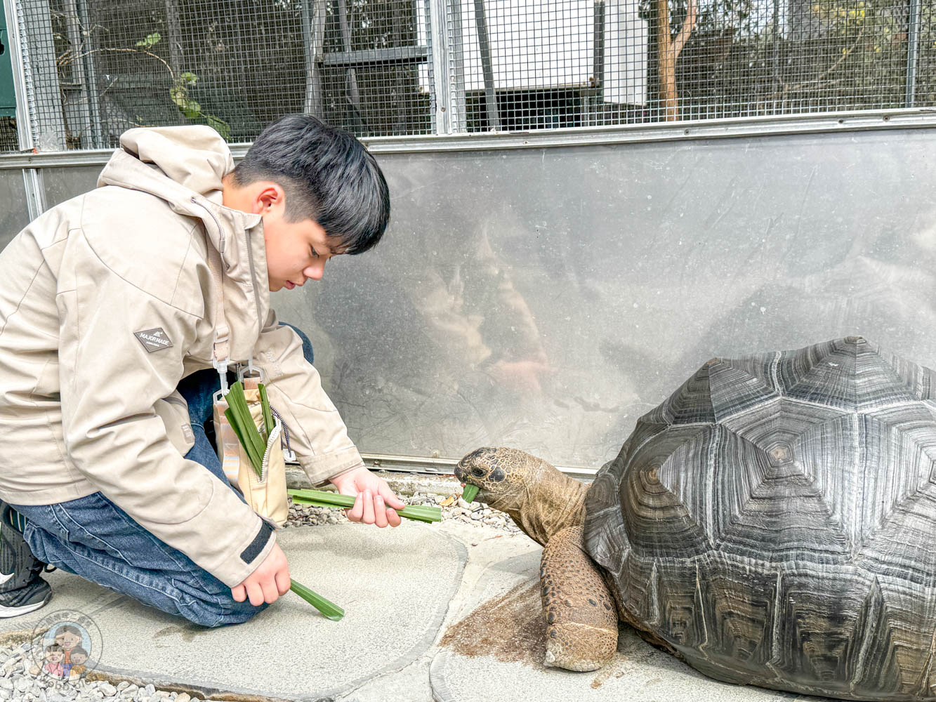 南投|水与松萌萌園》2026門票 與水豚君 笑笑羊近距離互動!埔里秘境落羽松步道 - 第34張圖 南投|水与松萌萌園》2026門票 與水豚君 笑笑羊近距離互動!埔里秘境落羽松步道