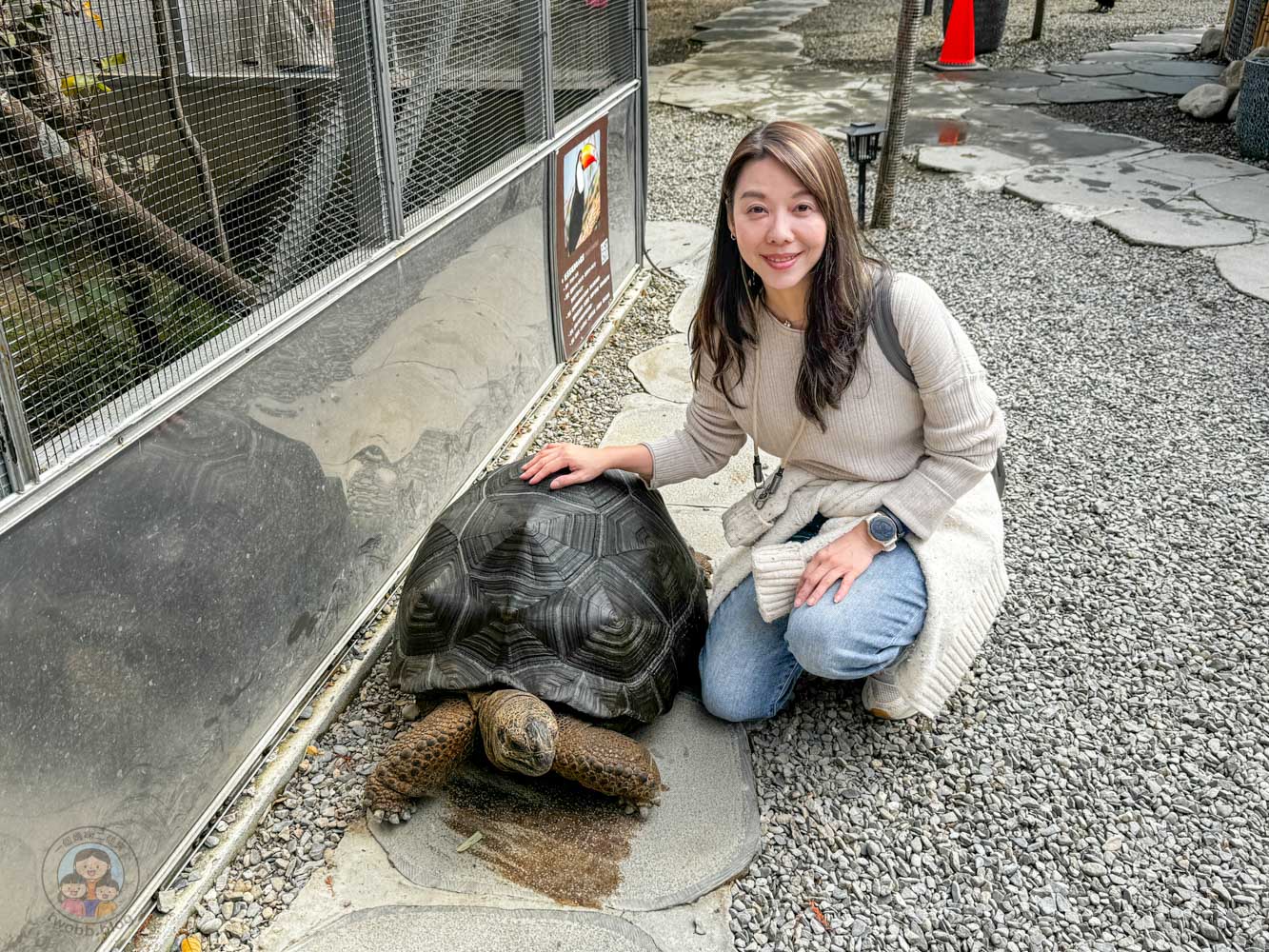 南投|水与松萌萌園》2026門票 與水豚君 笑笑羊近距離互動!埔里秘境落羽松步道 - 第35張圖 南投|水与松萌萌園》2026門票 與水豚君 笑笑羊近距離互動!埔里秘境落羽松步道