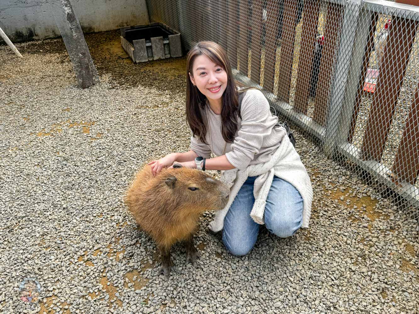 南投|水与松萌萌園》2026門票 與水豚君 笑笑羊近距離互動!埔里秘境落羽松步道 - 第36張圖 南投|水与松萌萌園》2026門票 與水豚君 笑笑羊近距離互動!埔里秘境落羽松步道