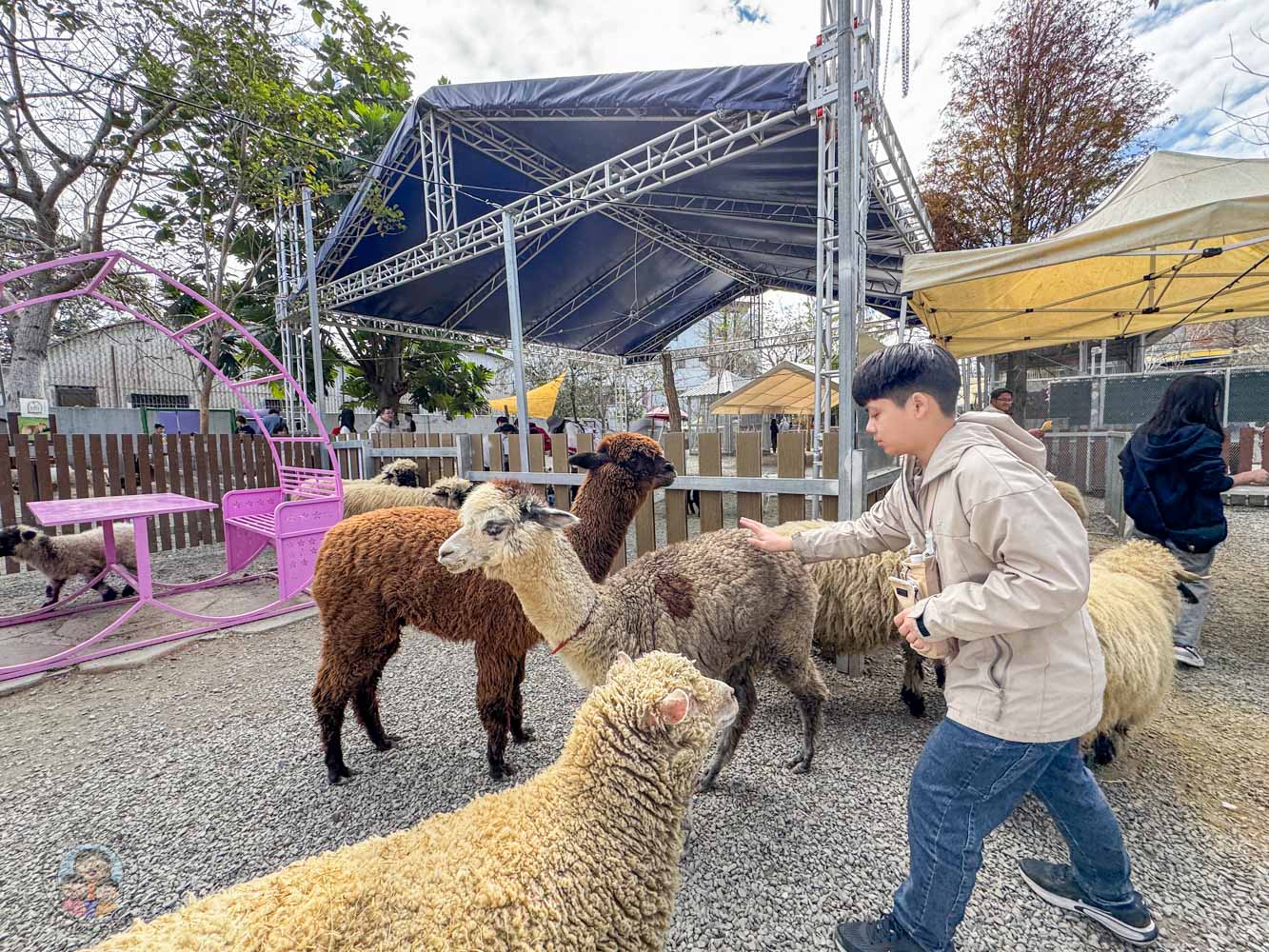 南投|水与松萌萌園》2026門票 與水豚君 笑笑羊近距離互動!埔里秘境落羽松步道 - 第38張圖 南投|水与松萌萌園》2026門票 與水豚君 笑笑羊近距離互動!埔里秘境落羽松步道