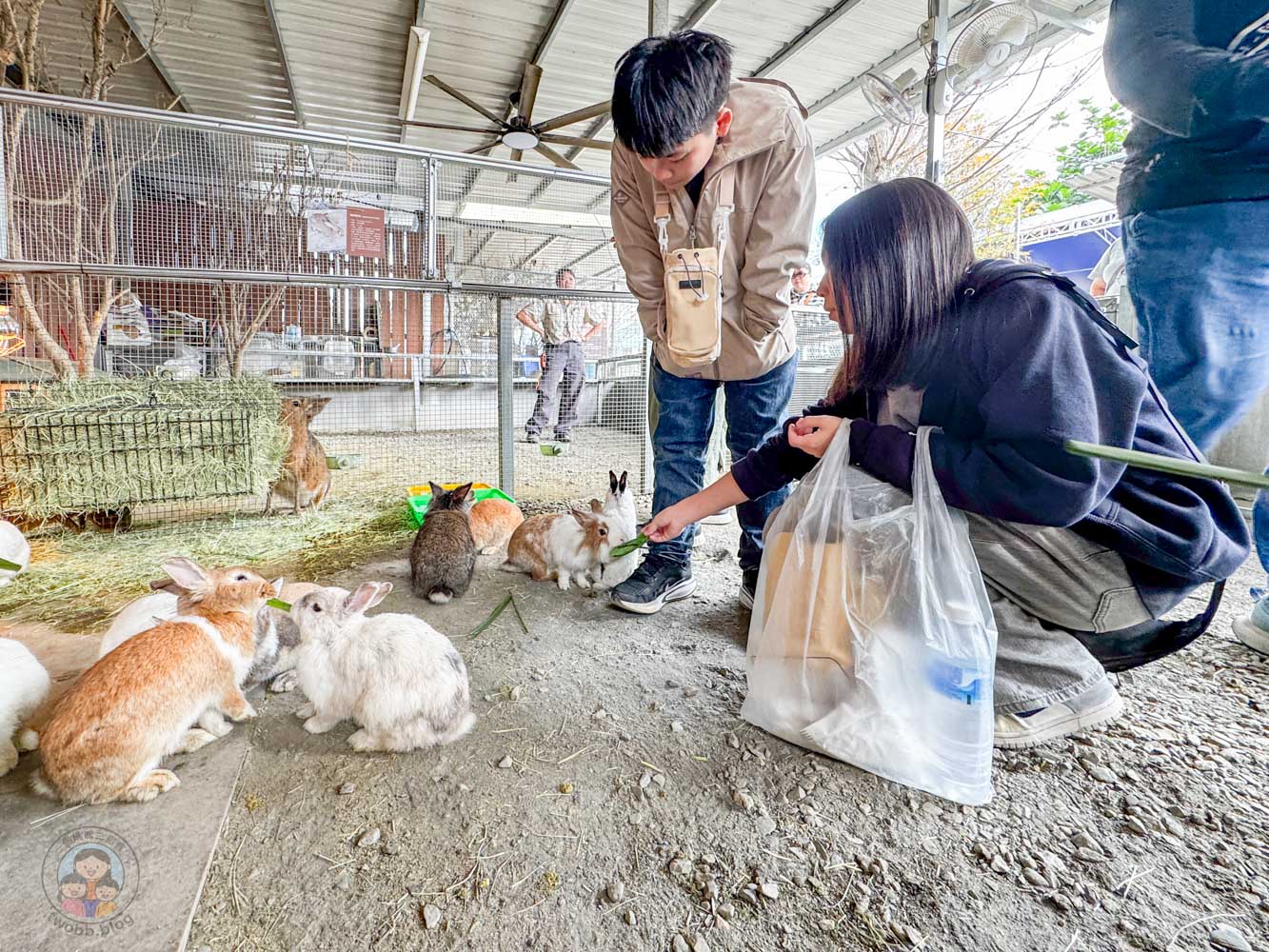 南投|水与松萌萌園》2026門票 與水豚君 笑笑羊近距離互動!埔里秘境落羽松步道 - 第41張圖 南投|水与松萌萌園》2026門票 與水豚君 笑笑羊近距離互動!埔里秘境落羽松步道